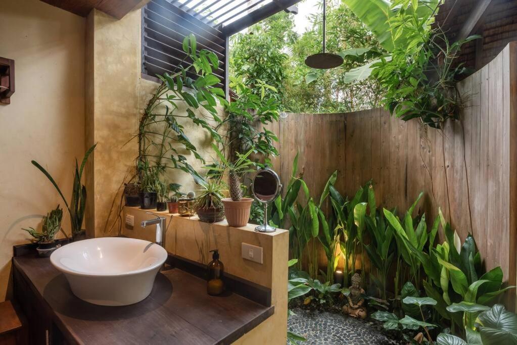 Alaia Hideaway Villa General Luna  Luaran gambar